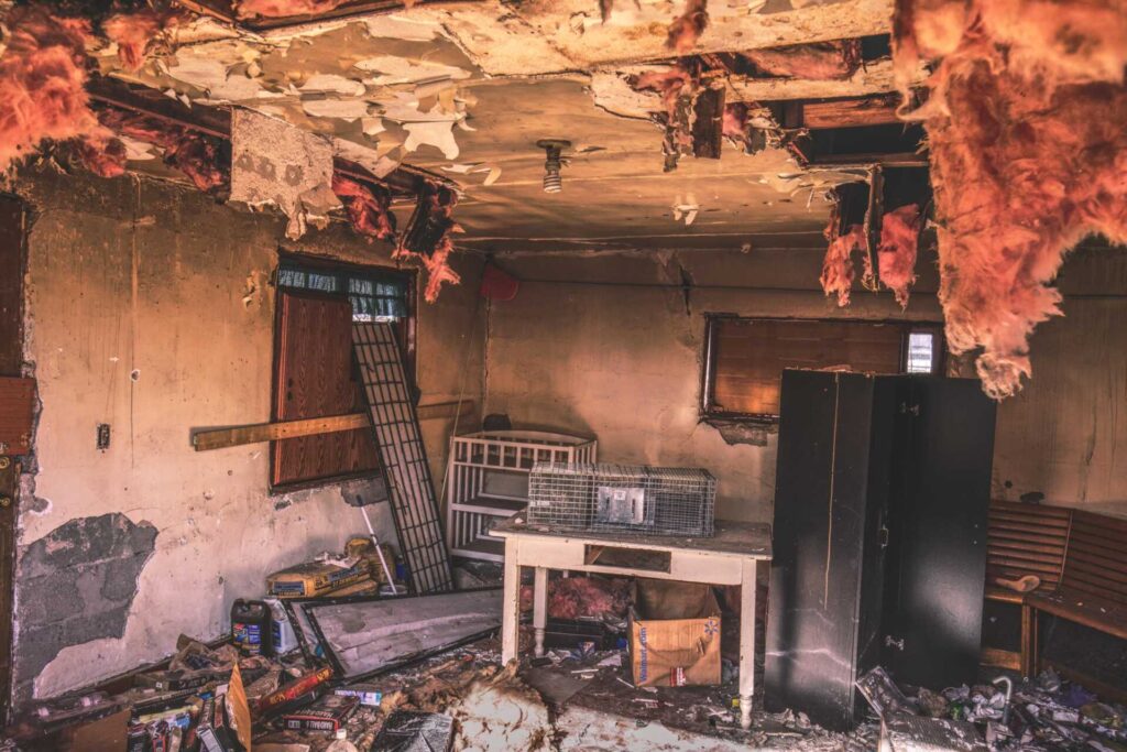 Why Choose Professional Fire Damage Repair Services?