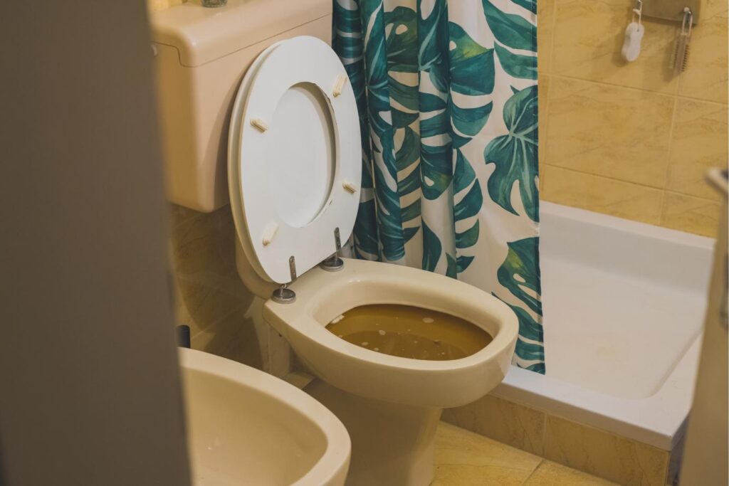 Top 7 Sewage Cleanup Strategies for Emergencies