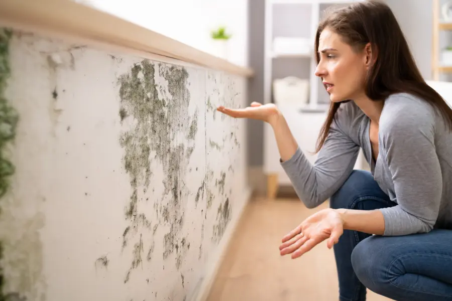 Mold Remediation in Nashville