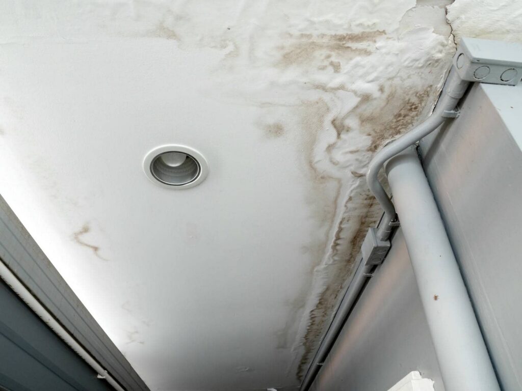 Ceiling with water damage and mold stains around a recessed light and pipes.